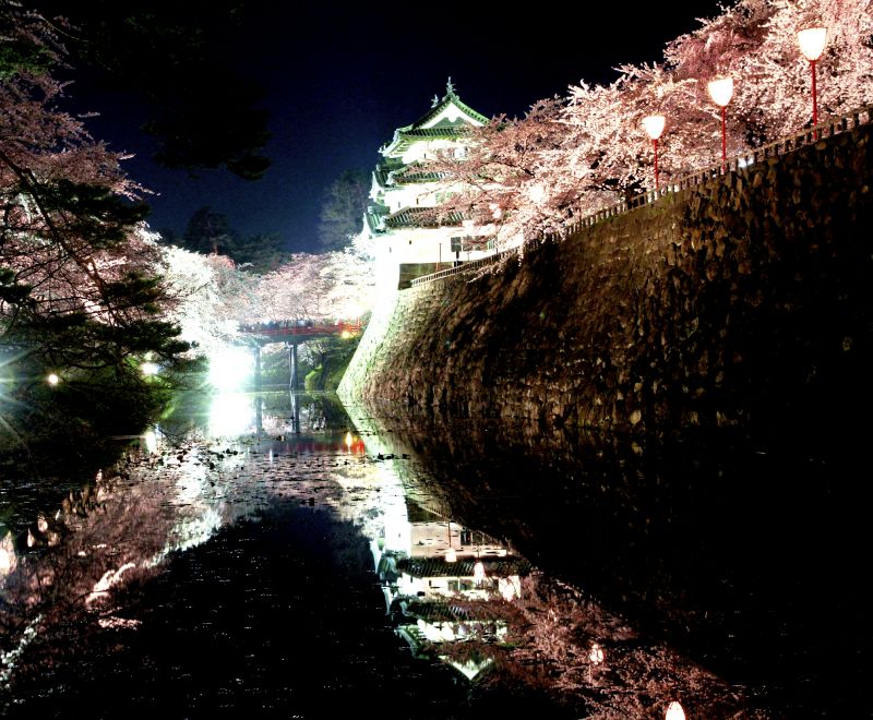 hoa anh đào soi mình dưới làn nước